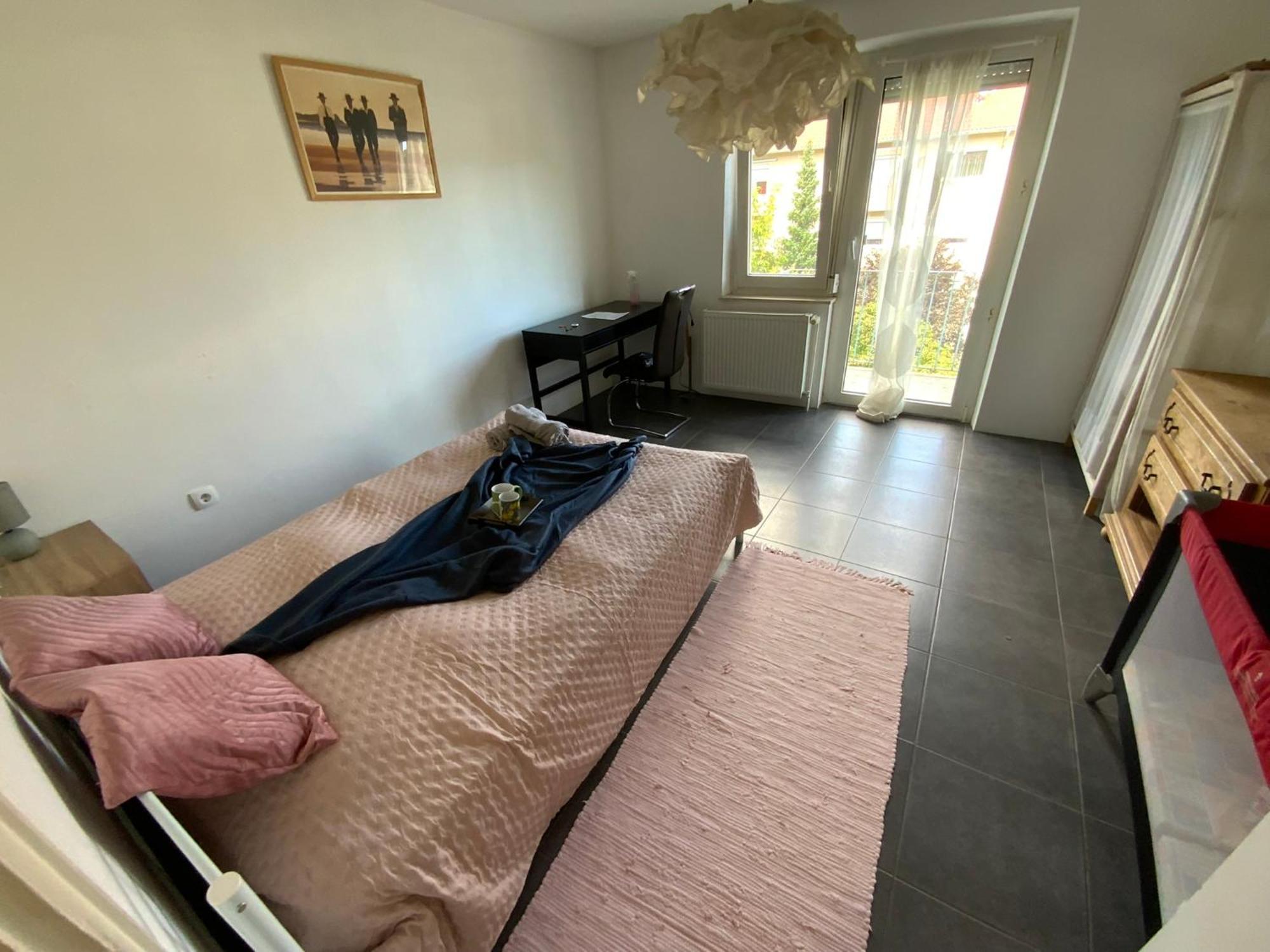 Luminous Apartment In Kehl Near Strasbourg, Conveniently Located Next To A Tram Stop With Direct Access To Strasbourg City Centre Zewnętrze zdjęcie